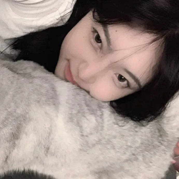 达鸽说打歌